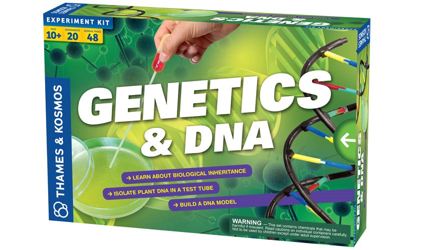 ערכת מדע הגנטיקאי הצעיר דגם Genetics&DNA